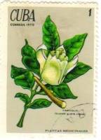 (1970-005) Марка Куба "Цветок гуареи"    Лекарственные растения III Θ